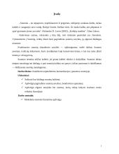 Tarpkultūrinės komunikacijos ypatumai Suomijoje