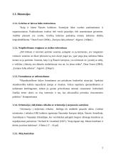 Tarpkultūrinės komunikacijos ypatumai Suomijoje 5 puslapis