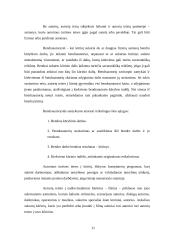 Civilinės teisės teorija 11 puslapis