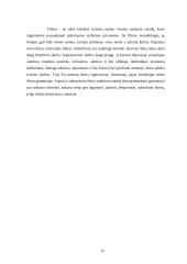 Civilinės teisės teorija 12 puslapis