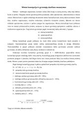 Teritorijų planavimas - miesto projektavimas 2 puslapis