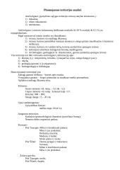 Teritorijų planavimas - miesto projektavimas 3 puslapis