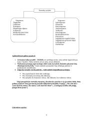 Turtingo ir neturtingo žmogaus mąstymas 6 puslapis