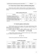 Vadybos rodikliai 13 puslapis