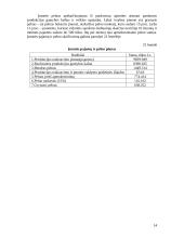 Vadybos rodikliai 14 puslapis