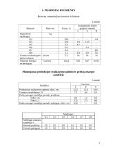 Vadybos rodikliai 3 puslapis