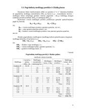 Vadybos rodikliai 6 puslapis