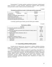 Vadybos rodikliai 10 puslapis