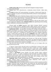 Vadybos raida organizacijoje 13 puslapis