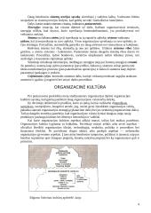 Vadybos raida organizacijoje 4 puslapis