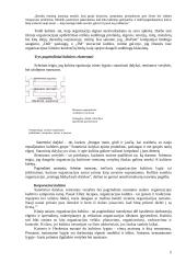 Vadybos raida organizacijoje 5 puslapis
