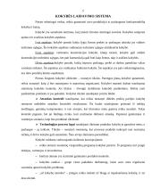 Derybų vedimas 5 puslapis