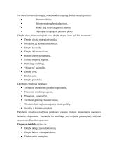 Vadyba ir derybos 12 puslapis