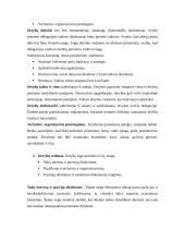 Vadyba ir derybos 13 puslapis