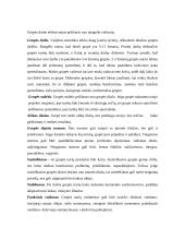 Vadyba ir derybos 15 puslapis