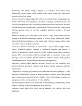 Vadyba ir derybos 4 puslapis