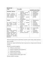 Vadyba ir derybos 10 puslapis