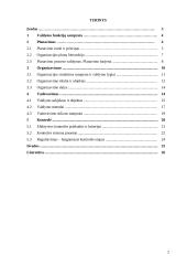 Valdymo funkcijų įgyvendinimas organizacijų veikloje 2 puslapis