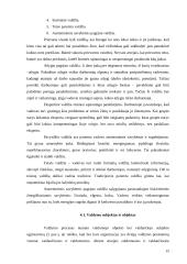 Valdymo funkcijų įgyvendinimas organizacijų veikloje 15 puslapis