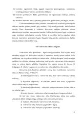 Valdymo funkcijų įgyvendinimas organizacijų veikloje 19 puslapis