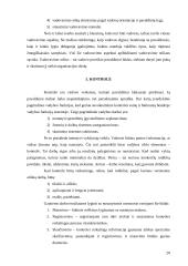 Valdymo funkcijų įgyvendinimas organizacijų veikloje 20 puslapis