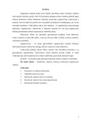 Valdymo funkcijų įgyvendinimas organizacijų veikloje 3 puslapis