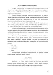 Valdymo funkcijų įgyvendinimas organizacijų veikloje 4 puslapis