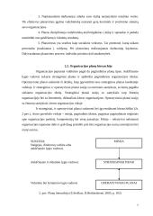 Valdymo funkcijų įgyvendinimas organizacijų veikloje 7 puslapis