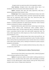 Valdymo funkcijų įgyvendinimas organizacijų veikloje 8 puslapis