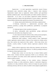 Valdymo funkcijų įgyvendinimas organizacijų veikloje 10 puslapis