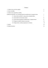 Valiutų kursų svyravimai 2 puslapis