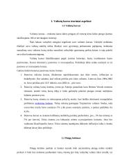 Valiutų kursų svyravimai 3 puslapis