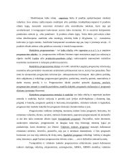 Valiutų kursų svyravimai 5 puslapis