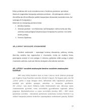 Verslo etika ir socialinė atsakomybė: fosforinių trąšų gamyba AB "Lifosa" 13 puslapis