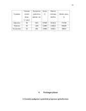 Verslo planas: kaimo turizmo sodyba IĮ "Ančios krantas" 12 puslapis