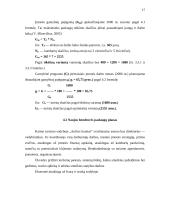 Verslo planas: kaimo turizmo sodyba IĮ "Ančios krantas" 13 puslapis