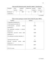 Verslo planas: kaimo turizmo sodyba IĮ "Ančios krantas" 19 puslapis