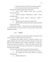 Verslo planas: kaimo turizmo sodyba IĮ "Ančios krantas" 9 puslapis