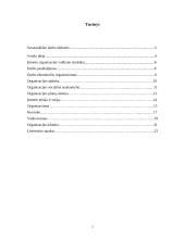 Verslo planas: laisvalaikio ir rytų kovos menų centras "Naglis" 2 puslapis