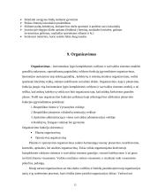 Verslo planas: laisvalaikio ir rytų kovos menų centras "Naglis" 15 puslapis