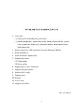 Verslo planas: laisvalaikio ir rytų kovos menų centras "Naglis" 3 puslapis