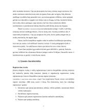 Verslo planas: laisvalaikio ir rytų kovos menų centras "Naglis" 5 puslapis