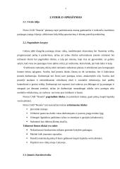 Verslo planas: maitinimo paslaugos UAB "Ronela" 2 puslapis