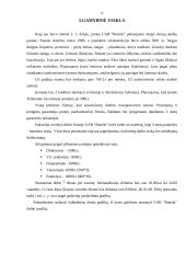 Verslo planas: maitinimo paslaugos UAB "Ronela" 11 puslapis