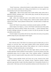 Verslo planas: maitinimo paslaugos UAB "Ronela" 3 puslapis