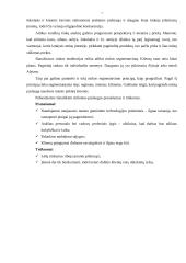 Verslo planas: maitinimo paslaugos UAB "Ronela" 6 puslapis