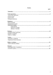 Verslo planas: masažo kabinetas IĮ "JurDia" 2 puslapis