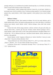 Verslo planas: masažo kabinetas IĮ "JurDia" 11 puslapis