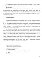 Verslo planas: masažo kabinetas IĮ "JurDia" 13 puslapis