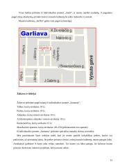 Verslo planas: masažo kabinetas IĮ "JurDia" 15 puslapis